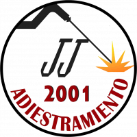 JJ 2001 Adiestramiento